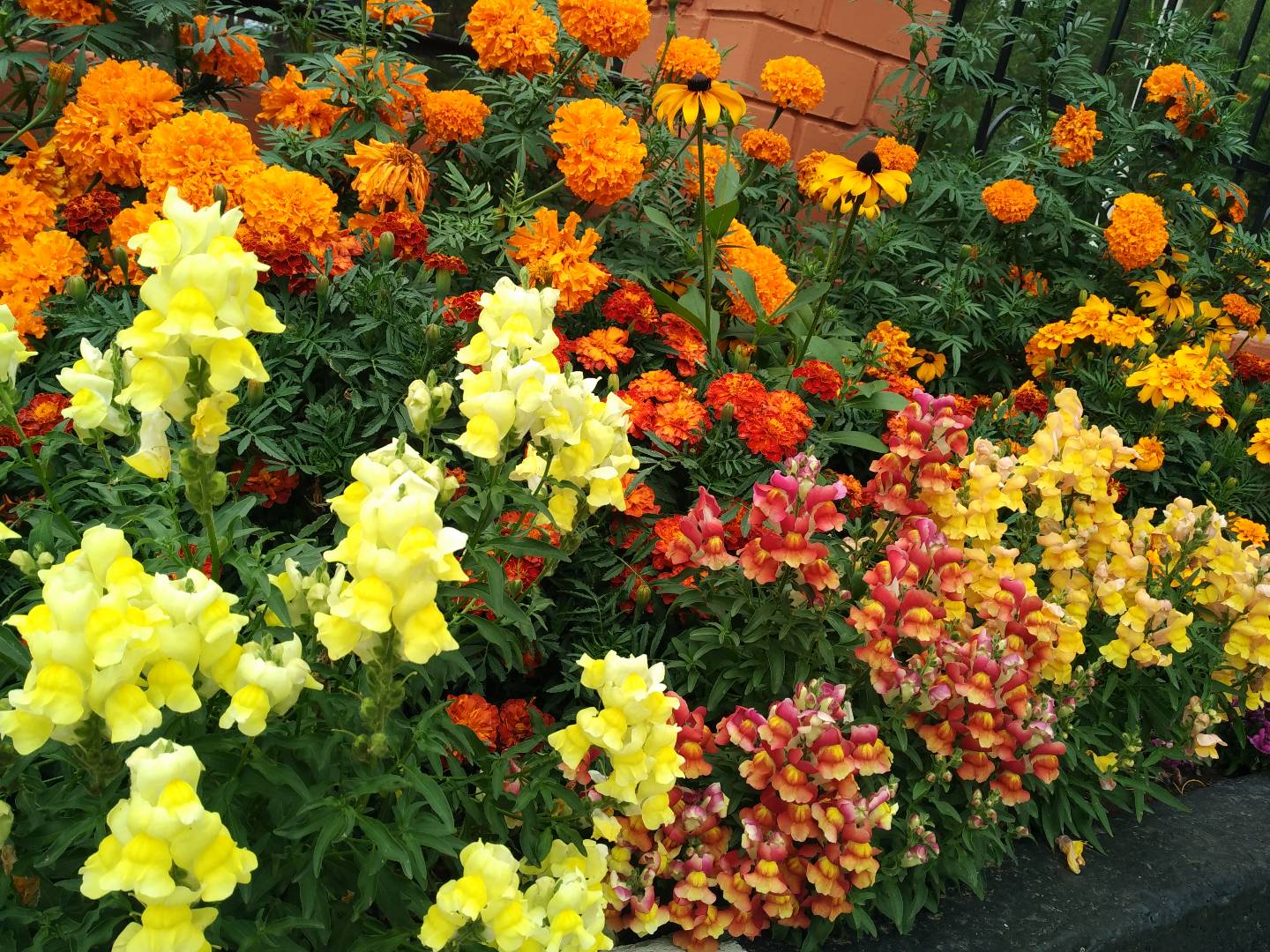 Фото Три Сосны