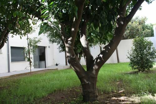 Гостиница Residencia Mayol - Только для взрослых на Балеарских островах