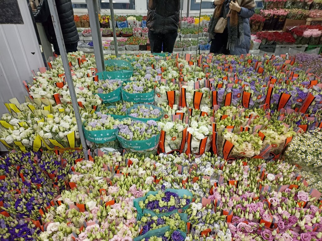 Цветы поселок северный москва доставка цветов екатеринбурге на уралмаше