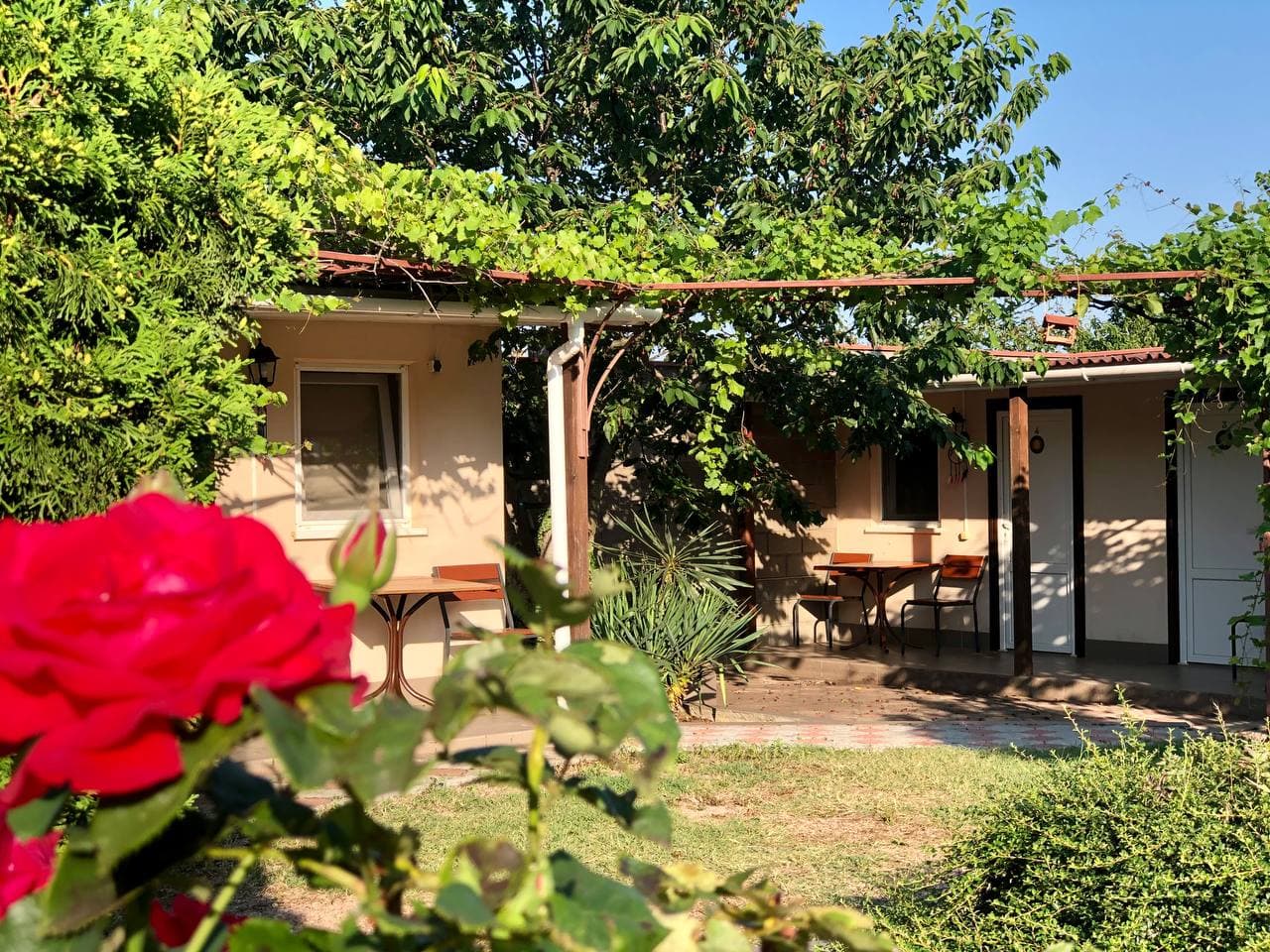 Фото Баунти