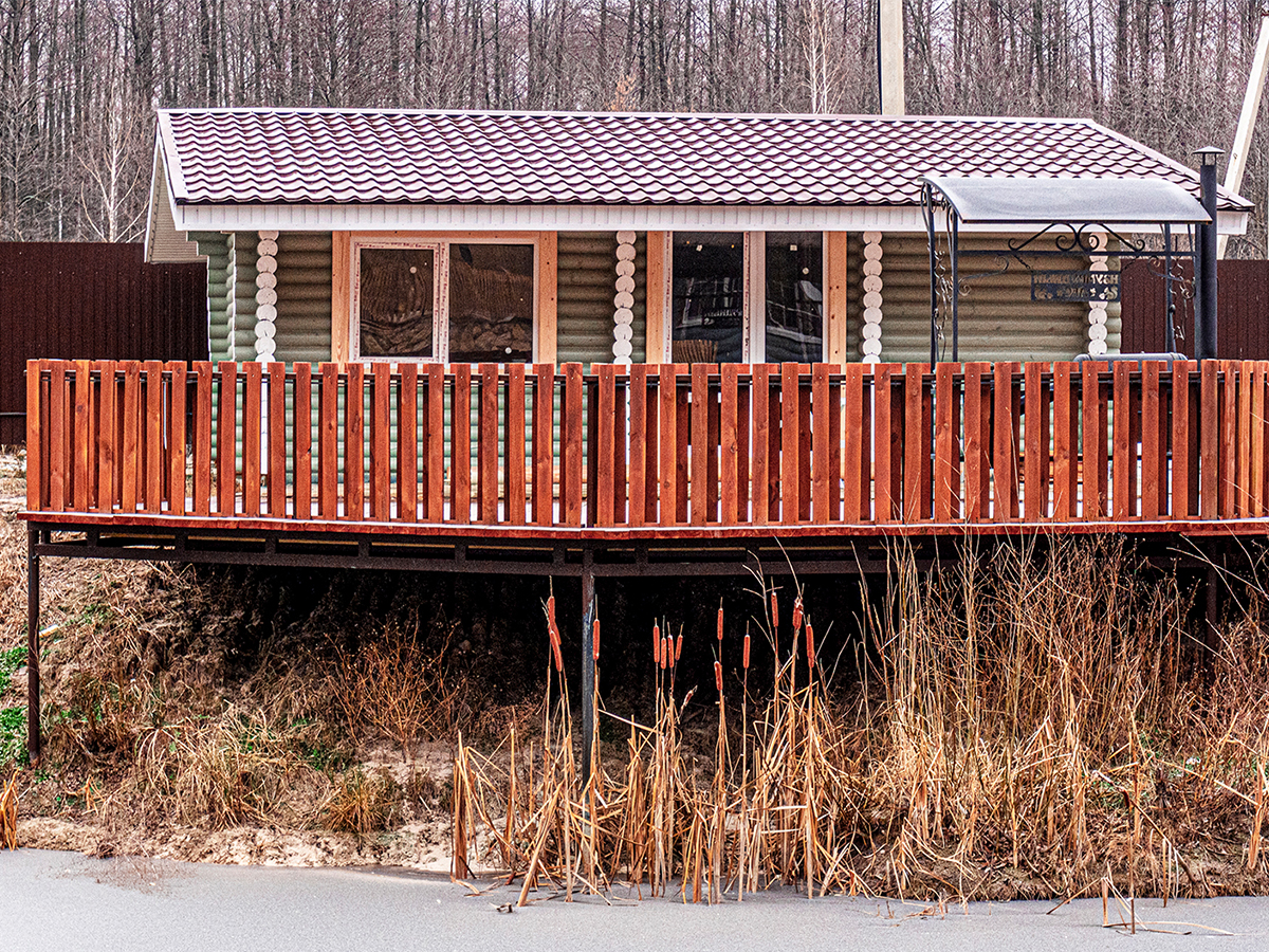 Фото Лесная история