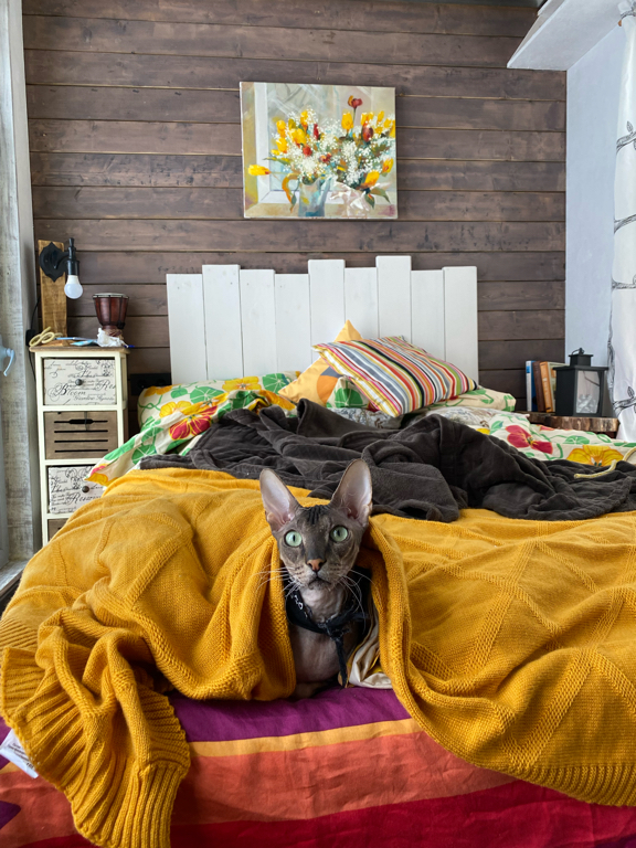 Фото Чилим на крыше