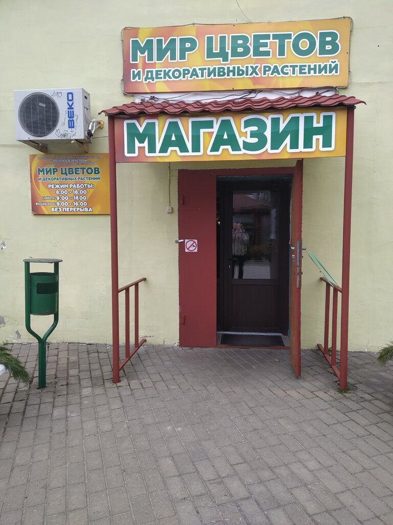 Flower shop Mir Tsvetov i Dekorativnykh Rasteny magazin № 2 Kpup Mogilevzelenstroy, Mogilev, photo