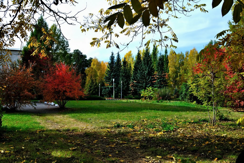 Дендрарий барнаул фото Касса, park, Барнаул, Змеиногорский тракт, 49 - Yandex Maps
