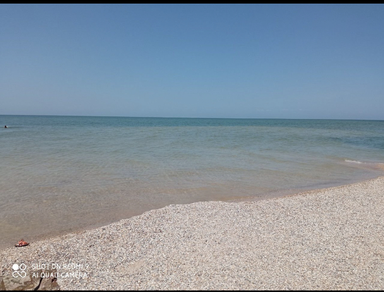 Фото Палисандр