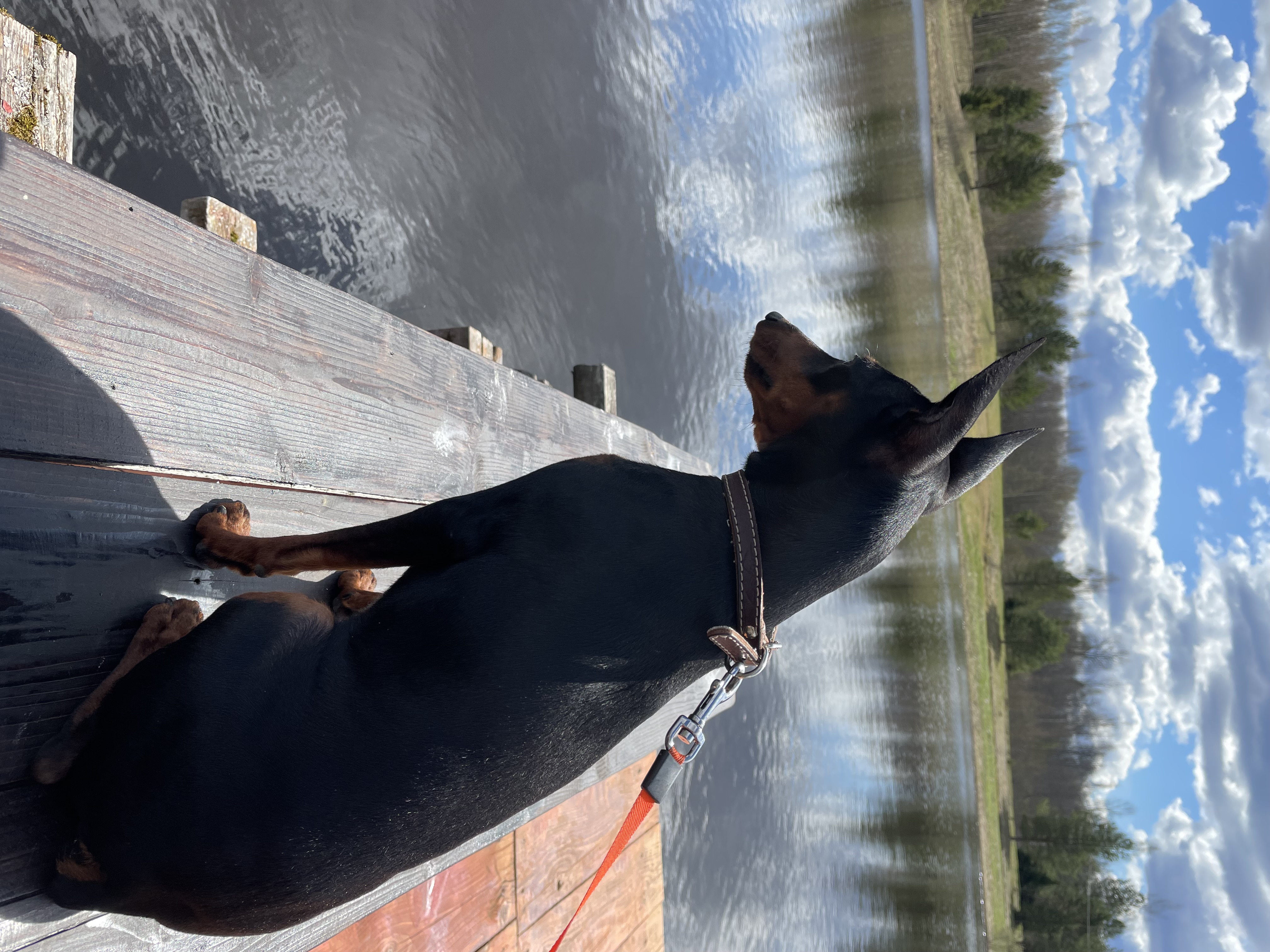 Фото Ерёмина гора