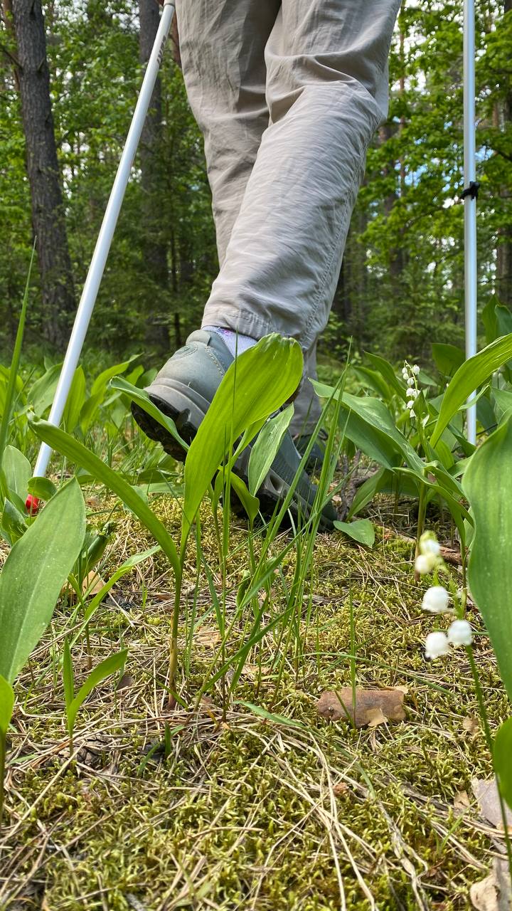 Фото Polesie Village