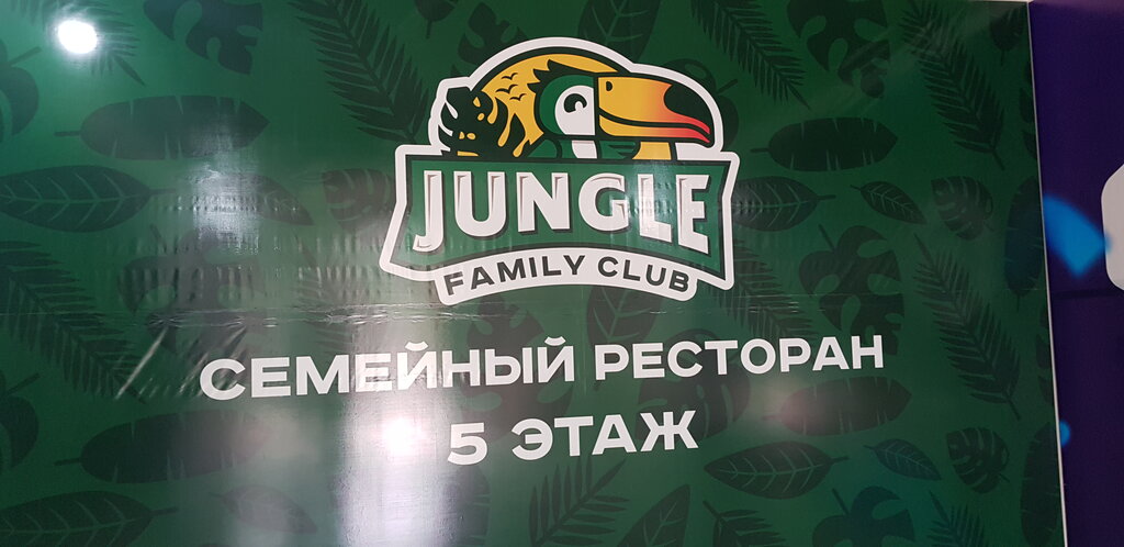 Family РґР¶СѓРЅРіР»Рё