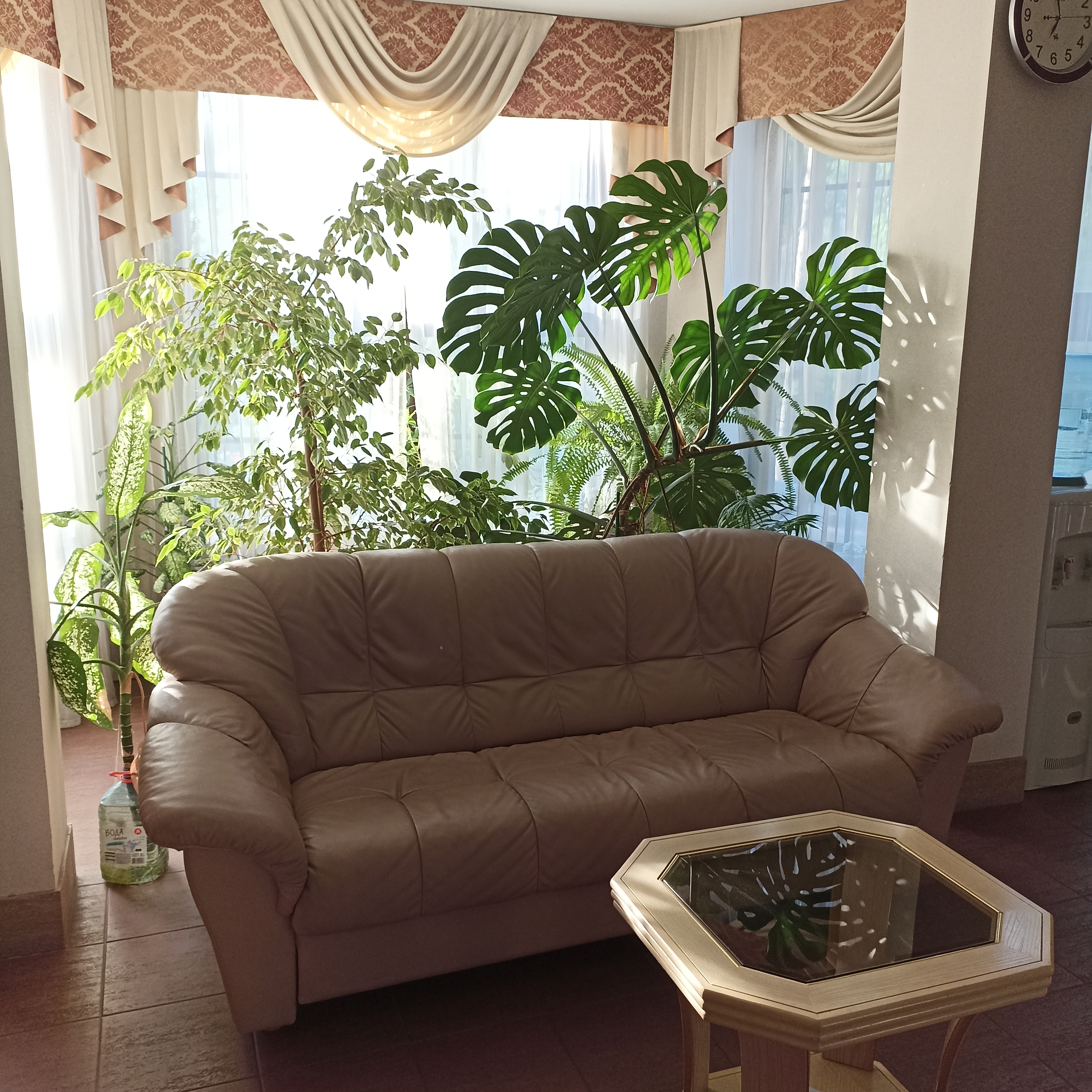 Фото Сигнал