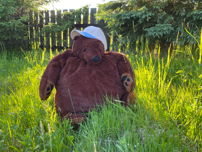 Фото ‎Выдринка