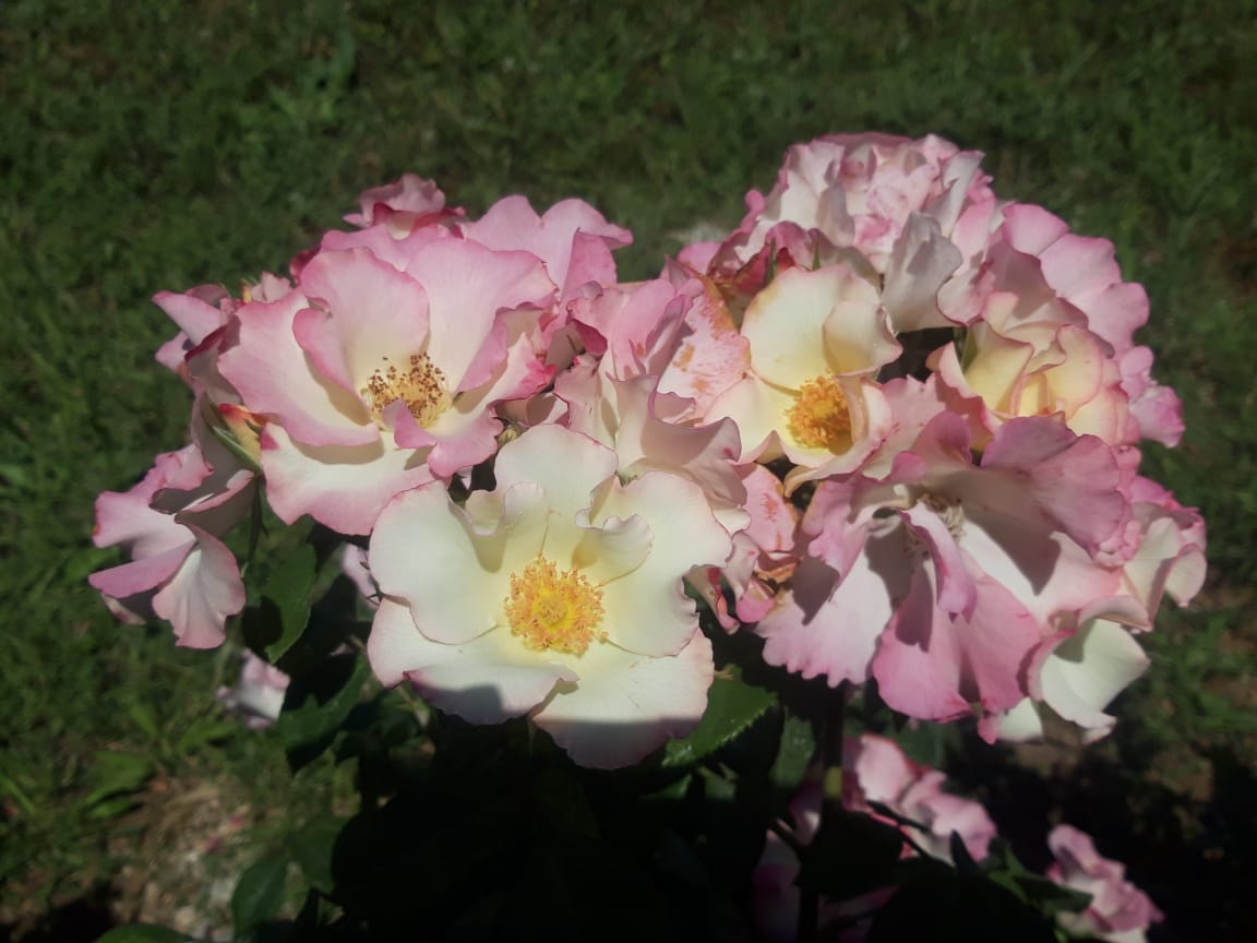 Фото Дом для отпуска