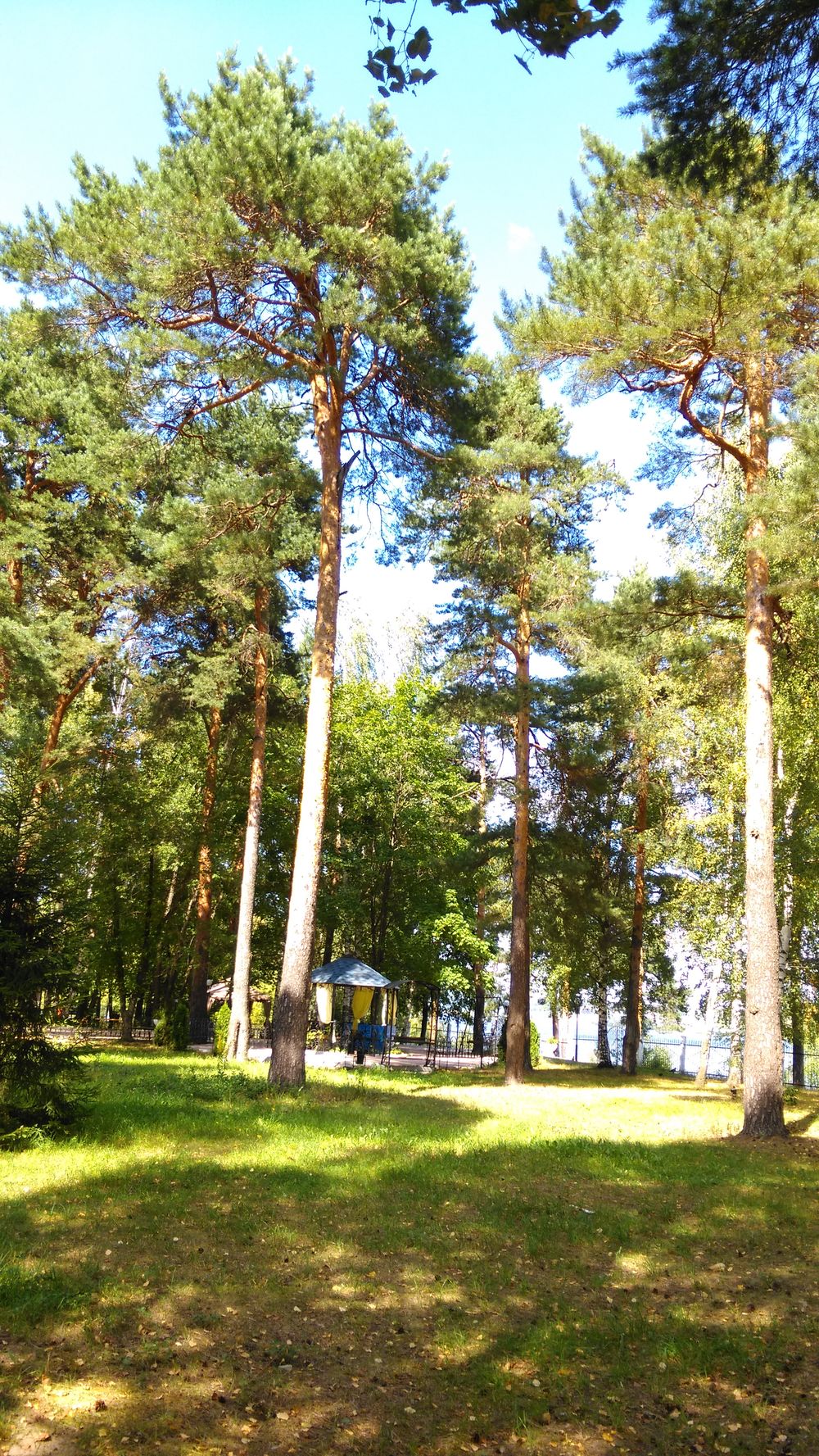 Фото Спа-Волга