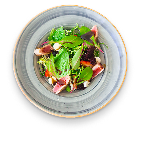 Фото Тропикана Парк