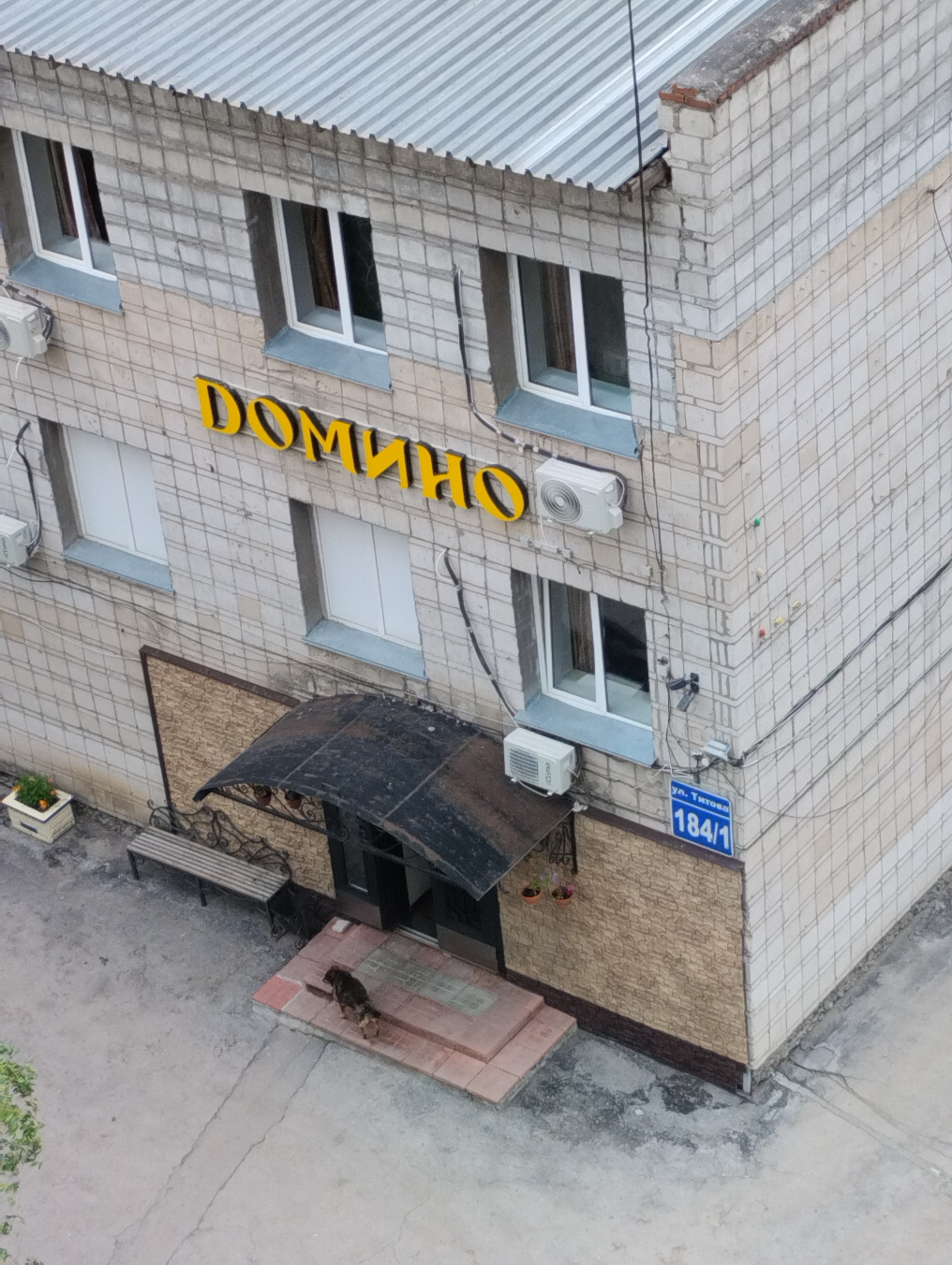 Фото Домино