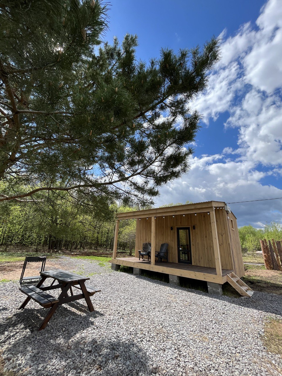 Фото Скандинавия