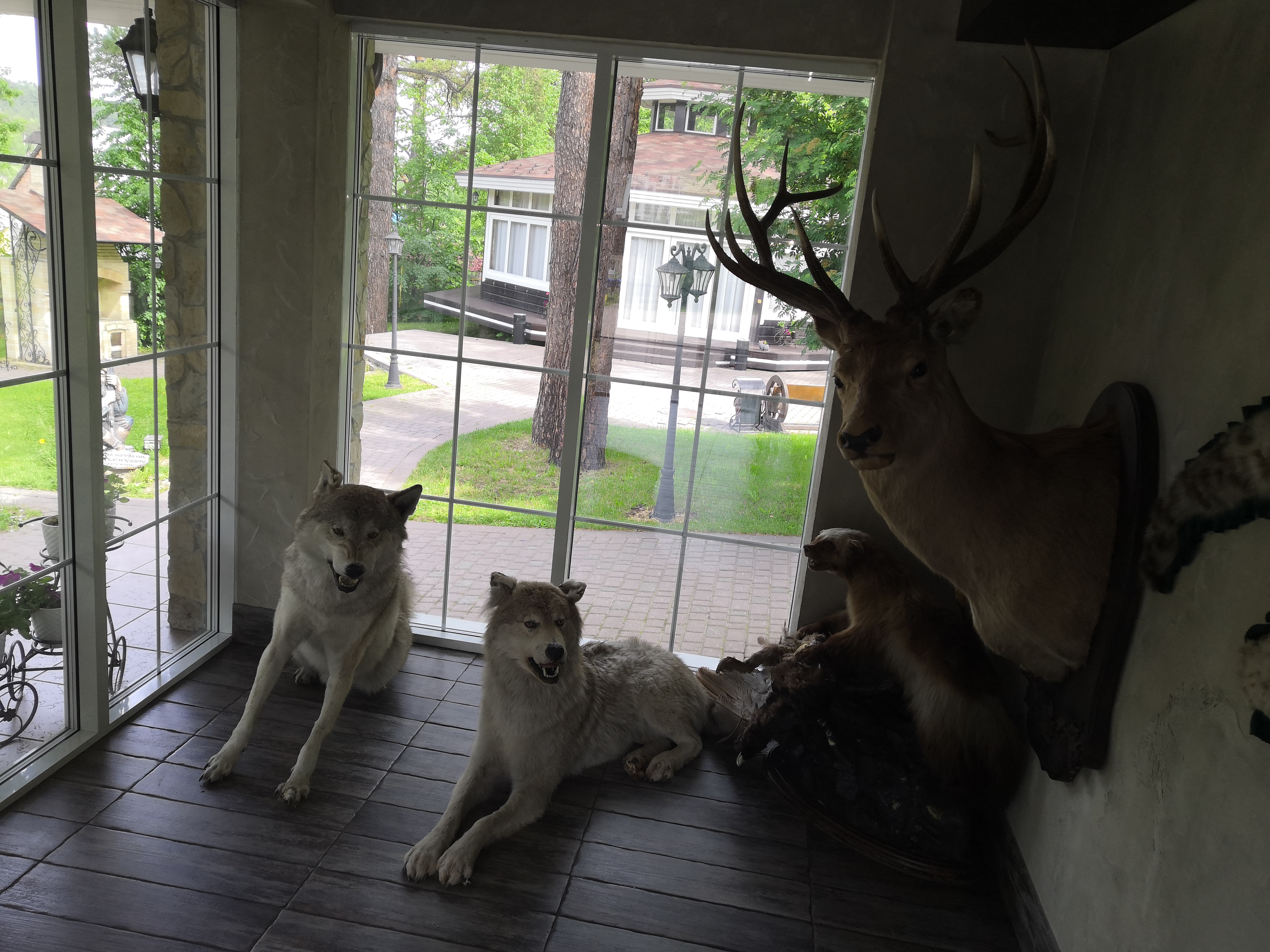 Фото Царская охота