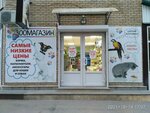 Zoomagazin (Oktyabrskaya ulitsa, 427), pet shop