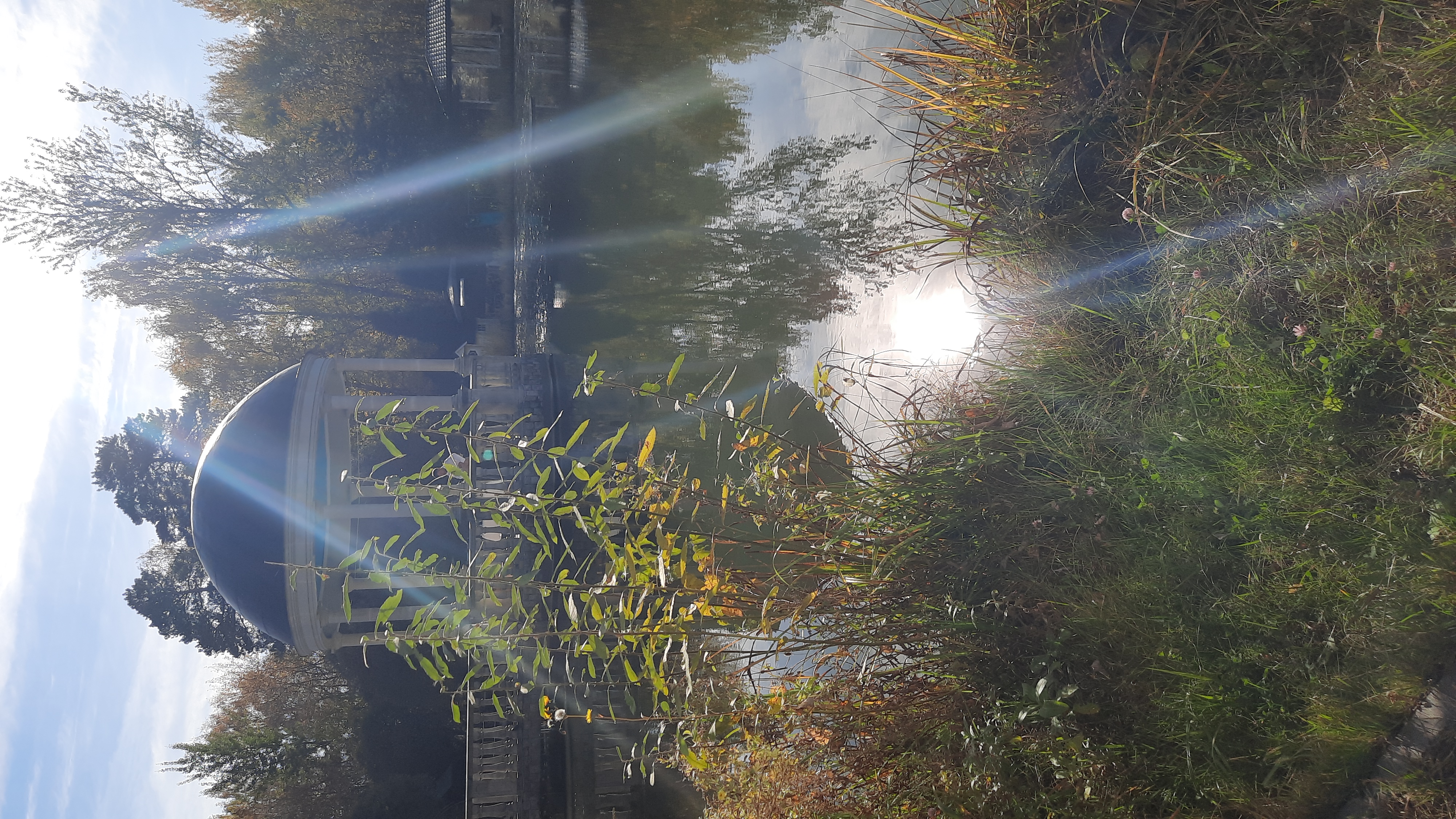 Фото Дворянское гнездо