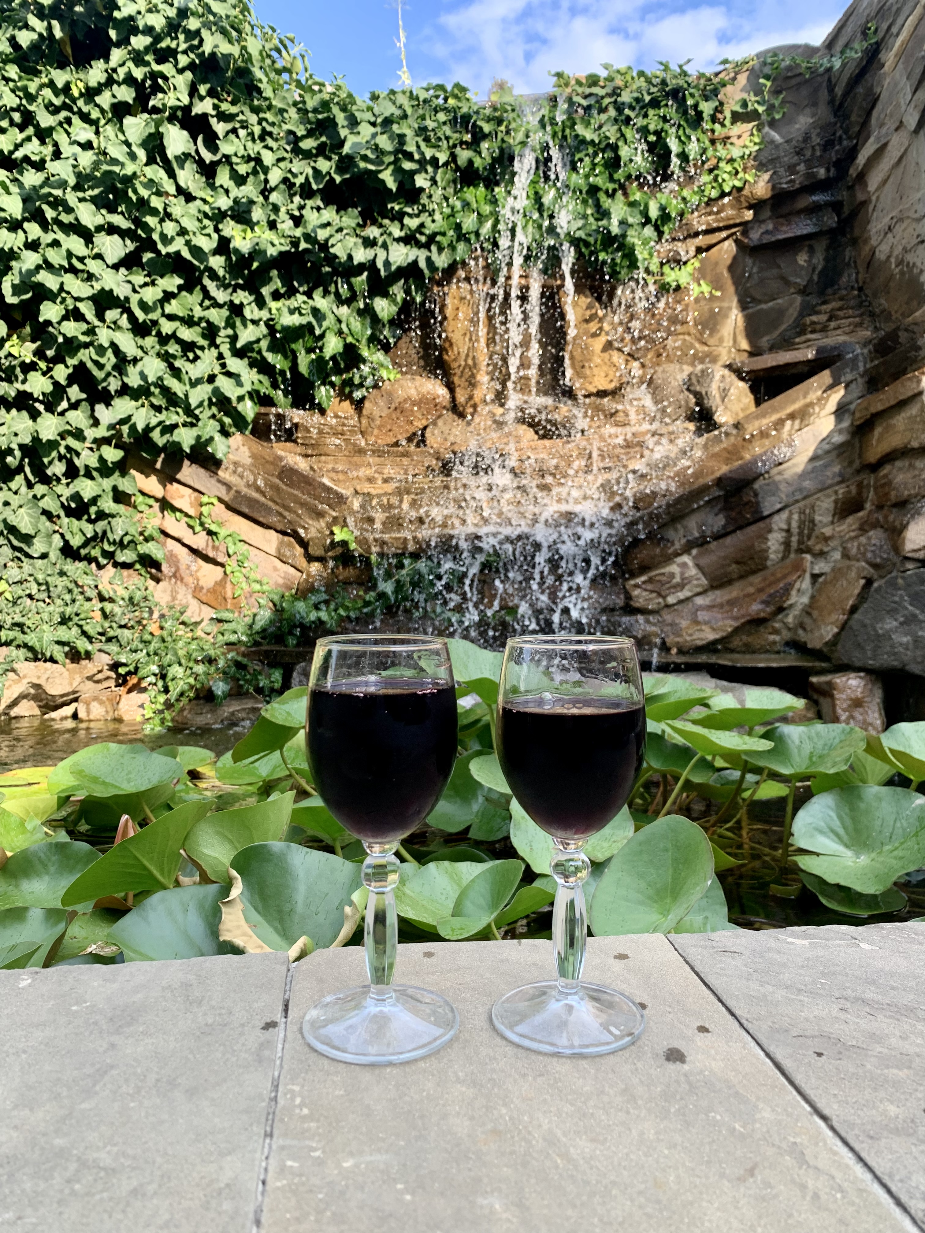 Фото Скифская долина