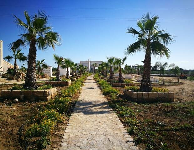 Гостиница Agriturismo Mascava di Torre Guaceto
