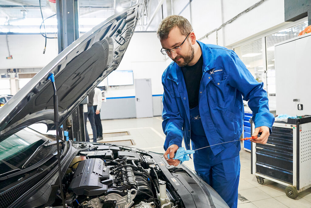 Car dealership Hyundai, Maksimum, Saint Petersburg, photo