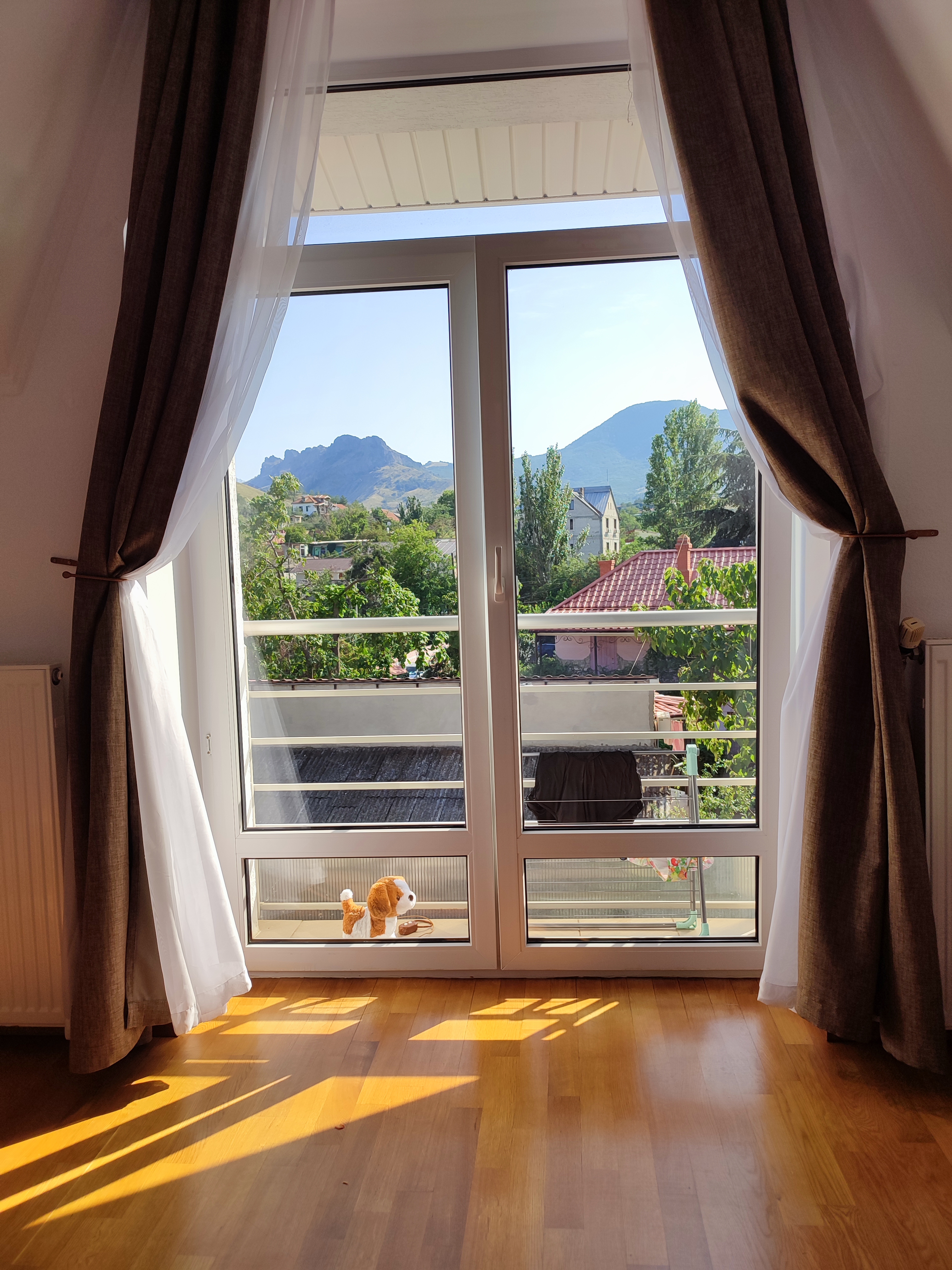 Фото Морской конек