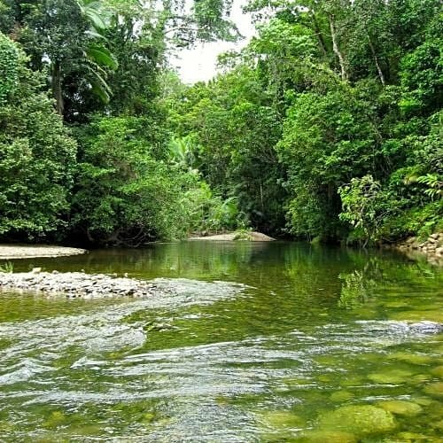 Гостиница Daintree Crocodylus