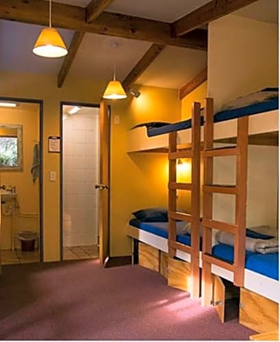 Фото Paradiso Backpackers