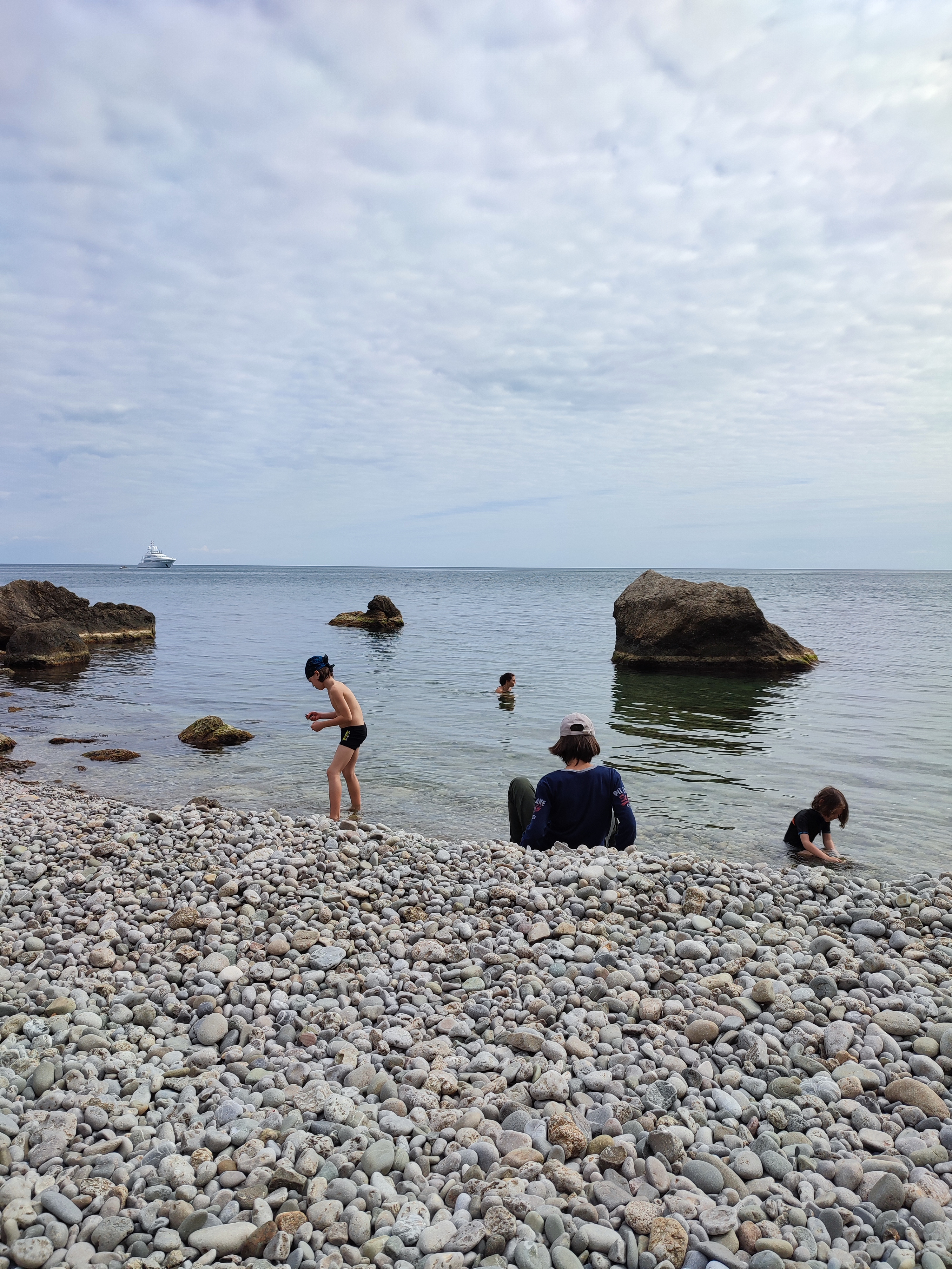 Фото Белый лебедь