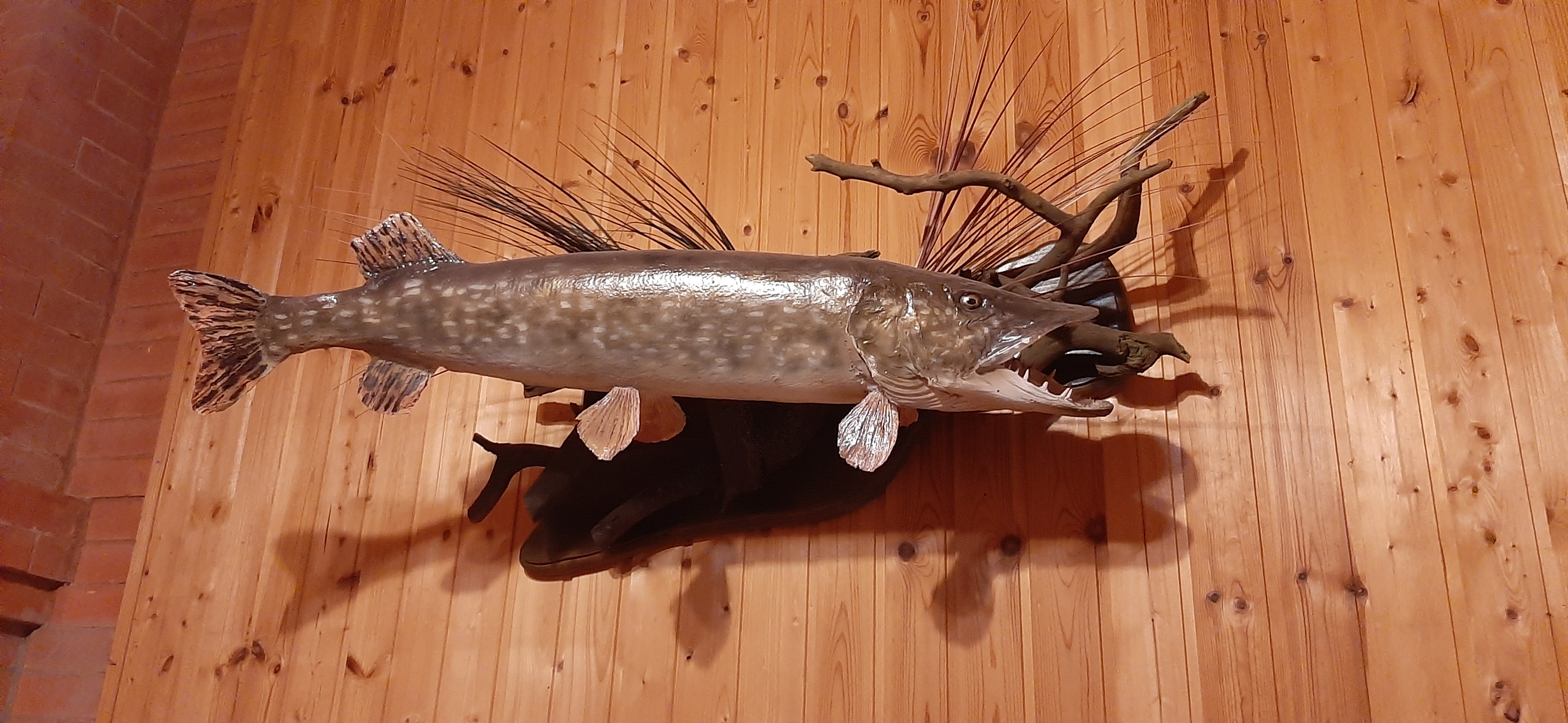 Фото Заповедные устья