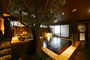 Гостиница Dormy Inn Toyama Natural Hot Spring