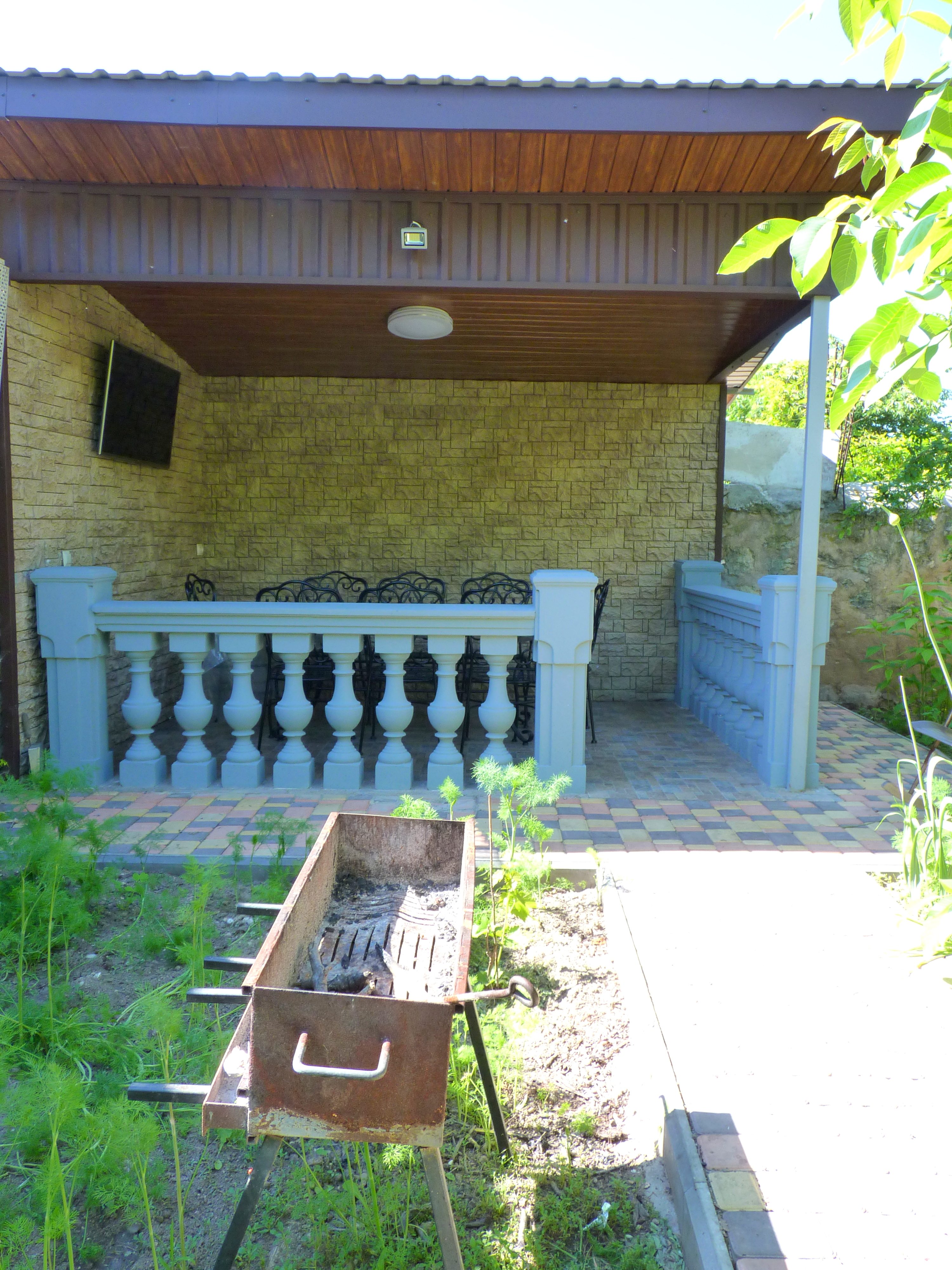 Фото Виноградная лоза