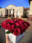 Flowers Pinsk CvetikSemiCvetik (Čyhunačnaja vulica, 19) ، محل زهور