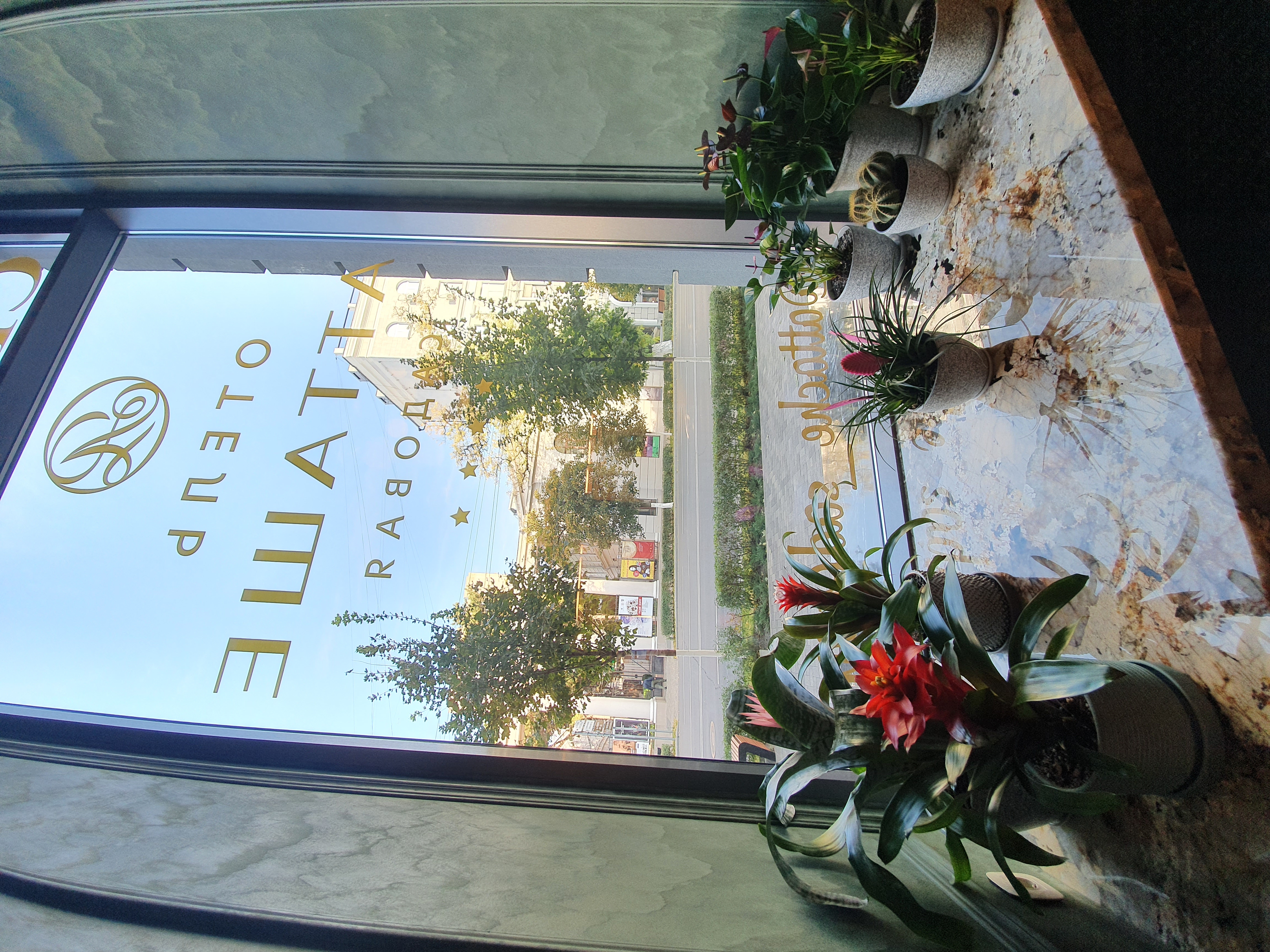 Фото Садовая-Атташе