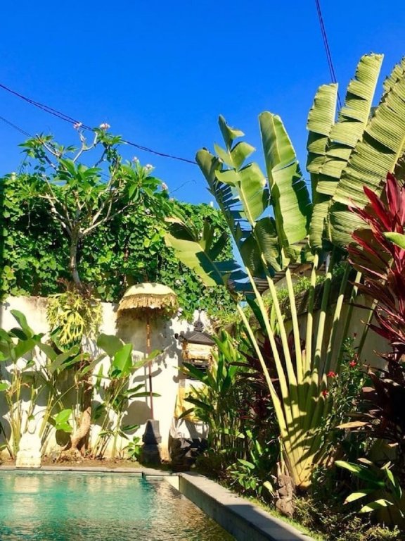 Фото Villa Aurikari