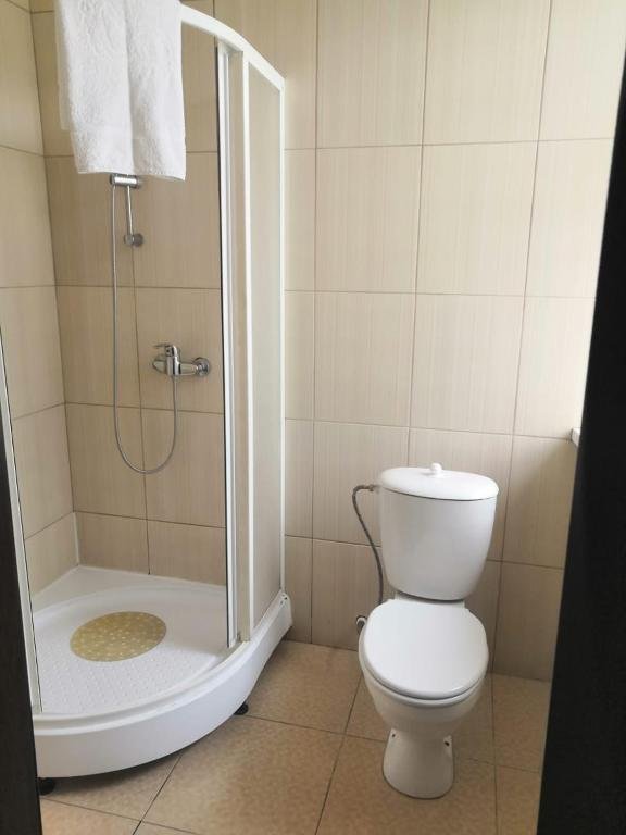 Фото Базилик