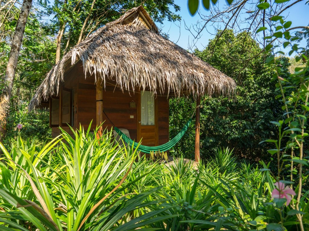 Фото Rabbit Bungalow