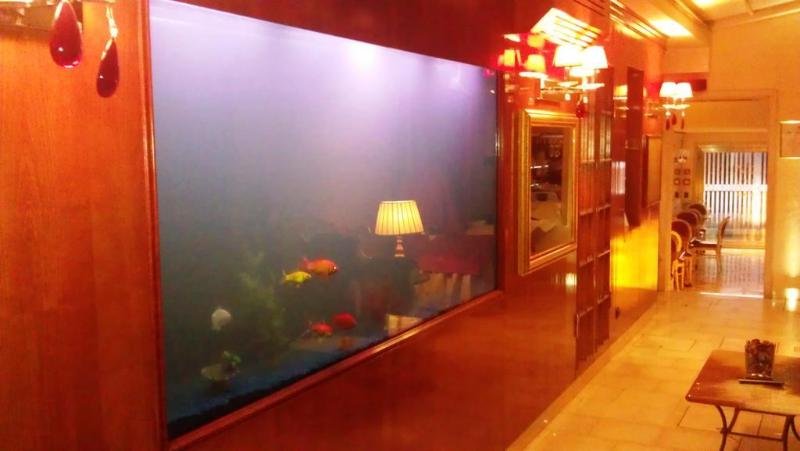 Фото Hotel Alcyone