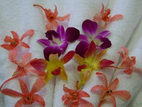 Фото Krabi Grand Hotel