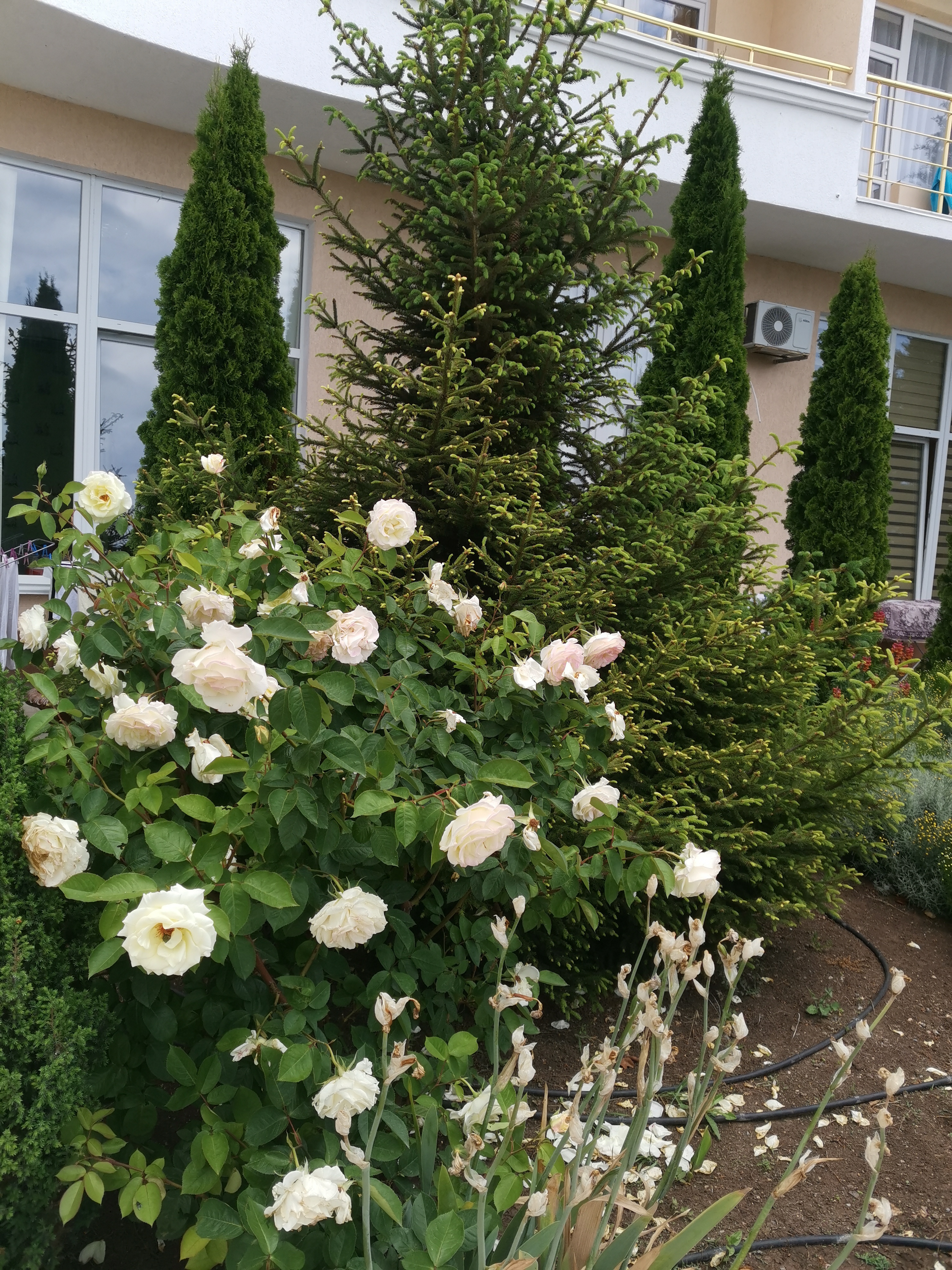 Фото Бартон Парк