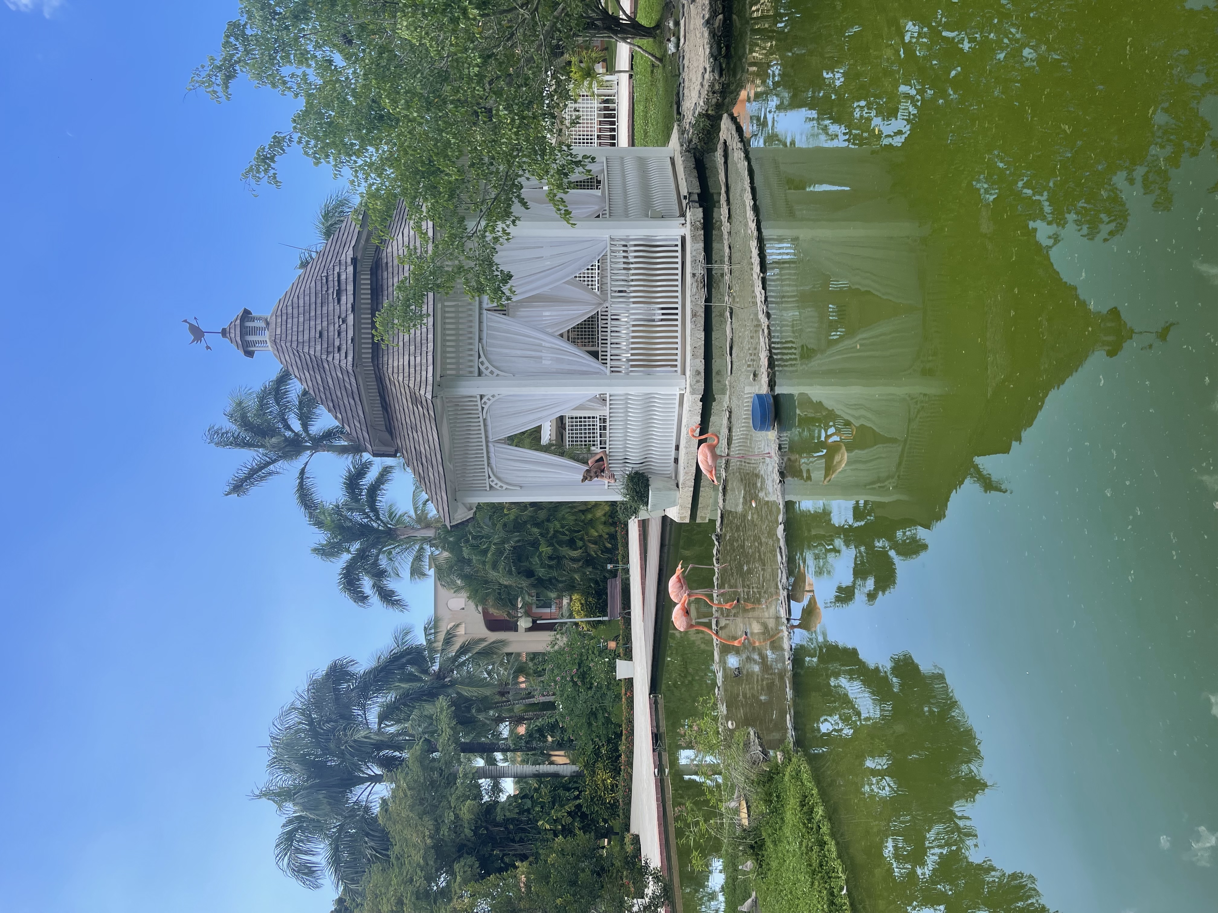 Фото Iberostar Selection Hacienda Dominicus