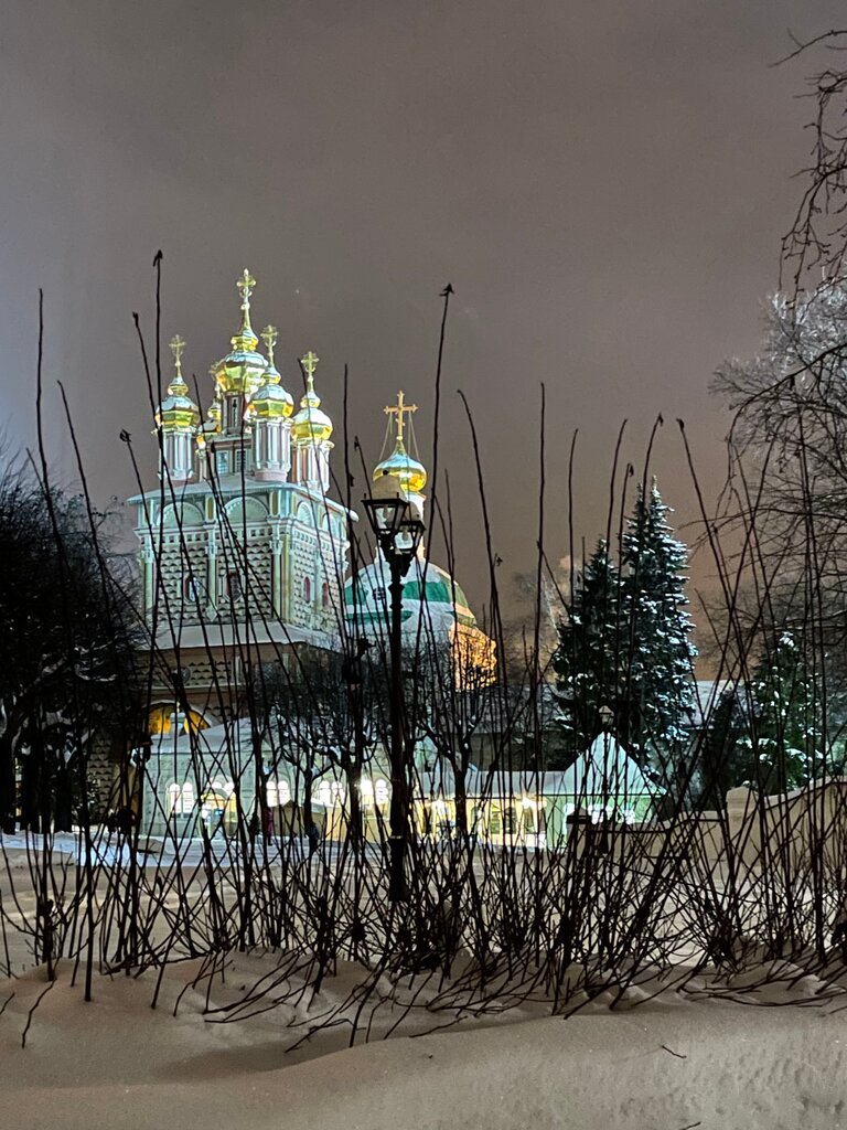 Православный храм Церковь Рождества Иоанна Предтечи, Сергиев Посад, фото