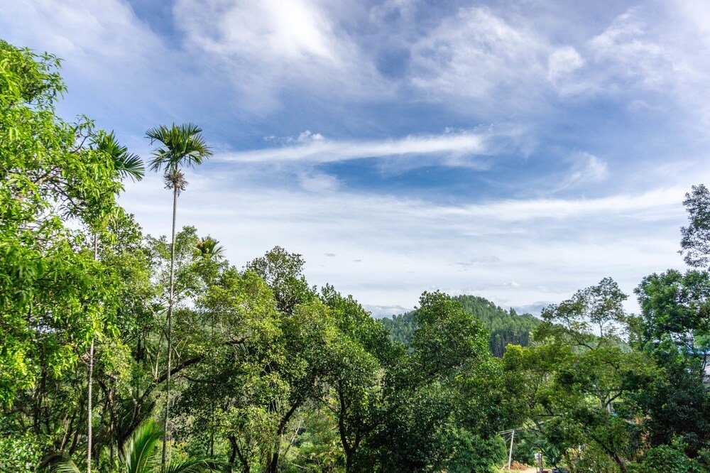 Фото Samadhi Guest Inn Ella