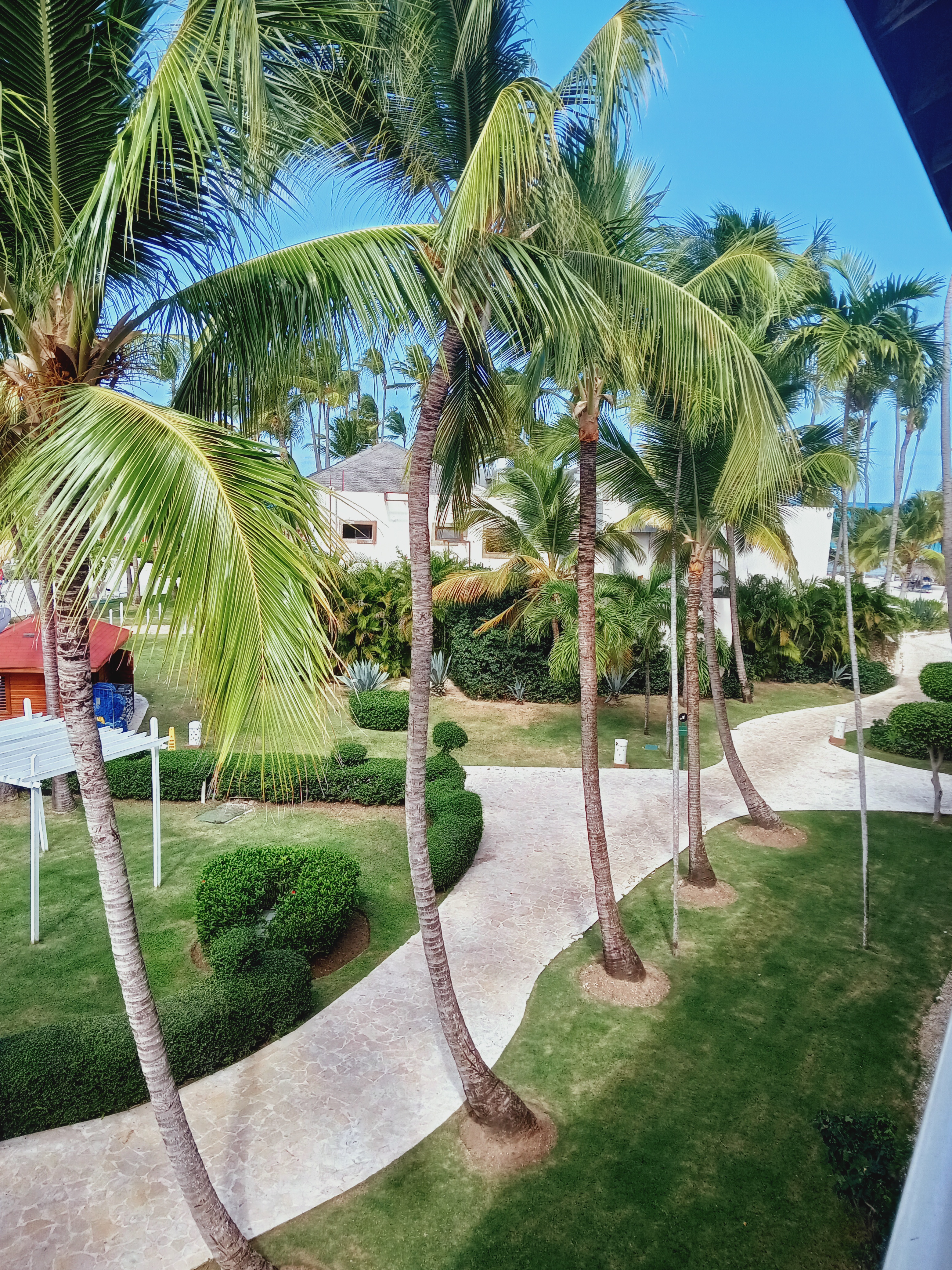 Фото Be Live Grand Punta Cana