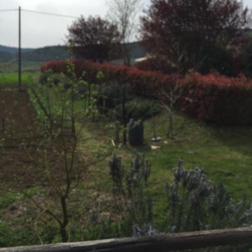 Фото Azienda Agrituristica i Tre Casali