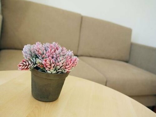 Гостиница Hovdetun - Gjøvik Vandrerhjem - Hostel в Оппланне