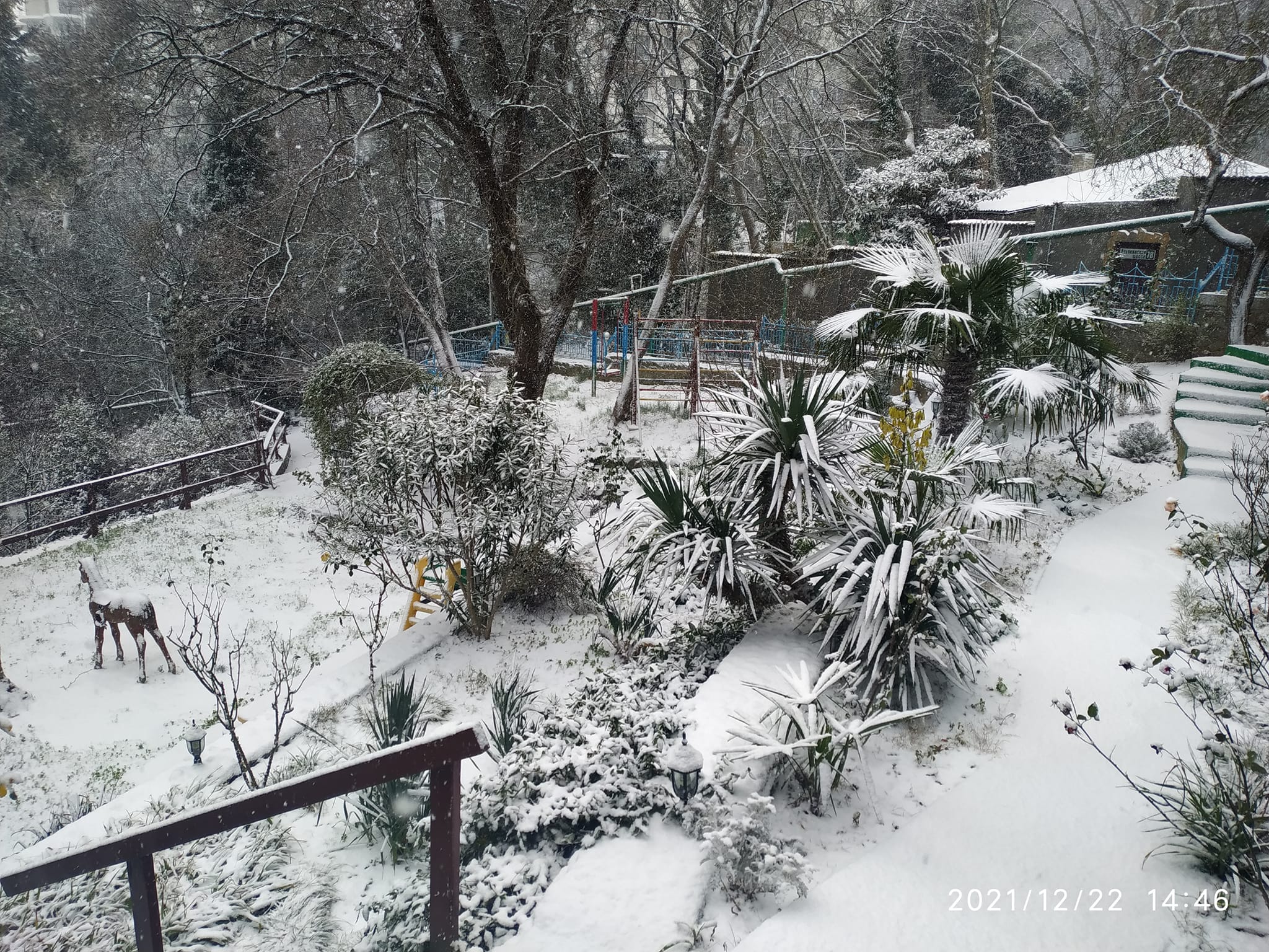 Фото Сувенир