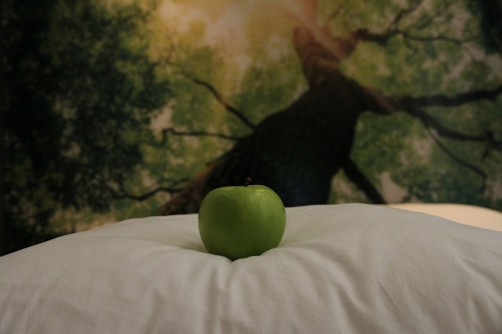 Фото Hamac Suites Lyon Cordeliers