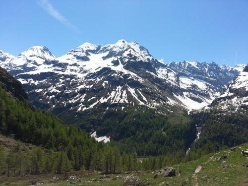 Фото Hotel Valentino