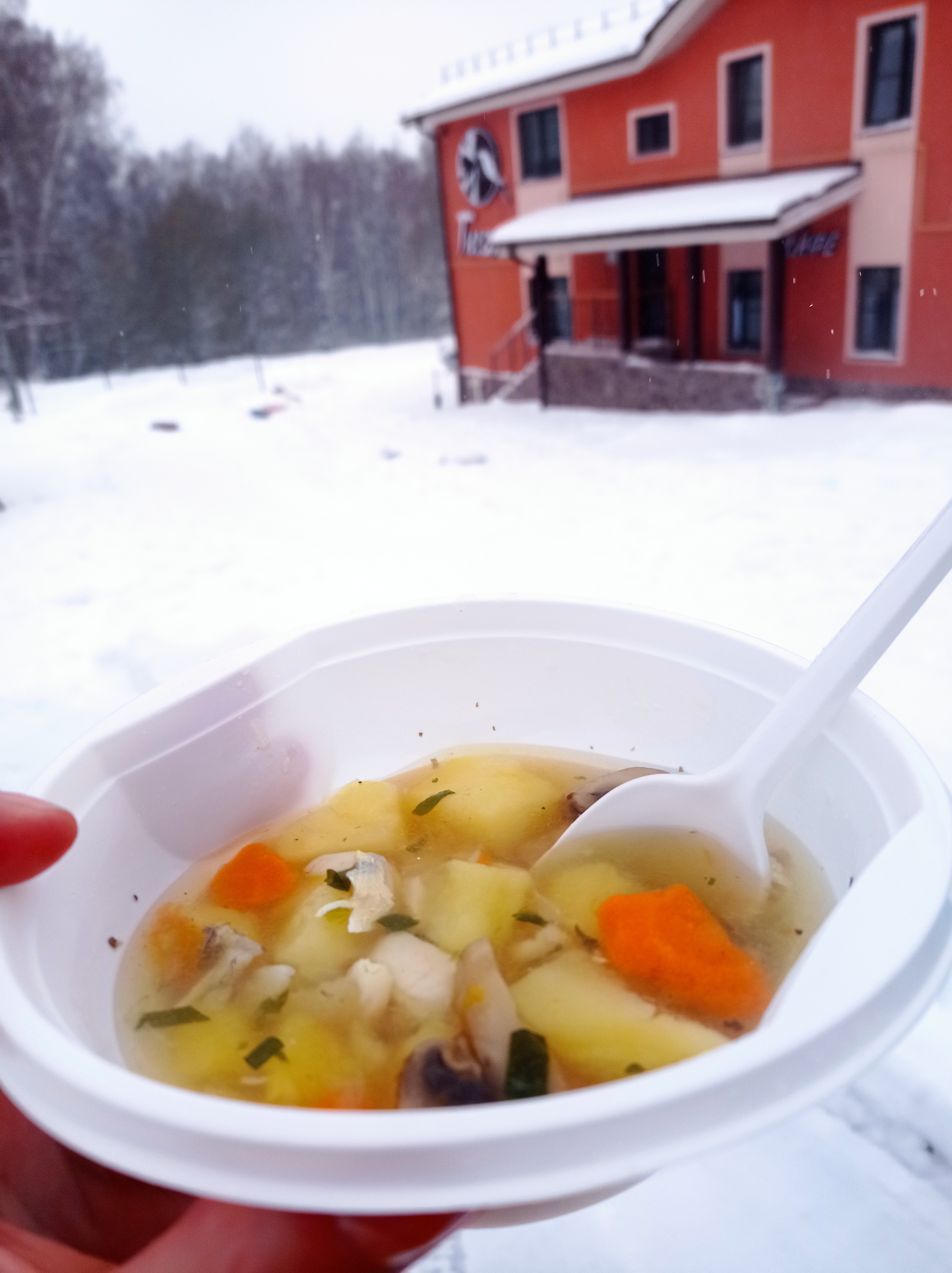 Фото Гнездо